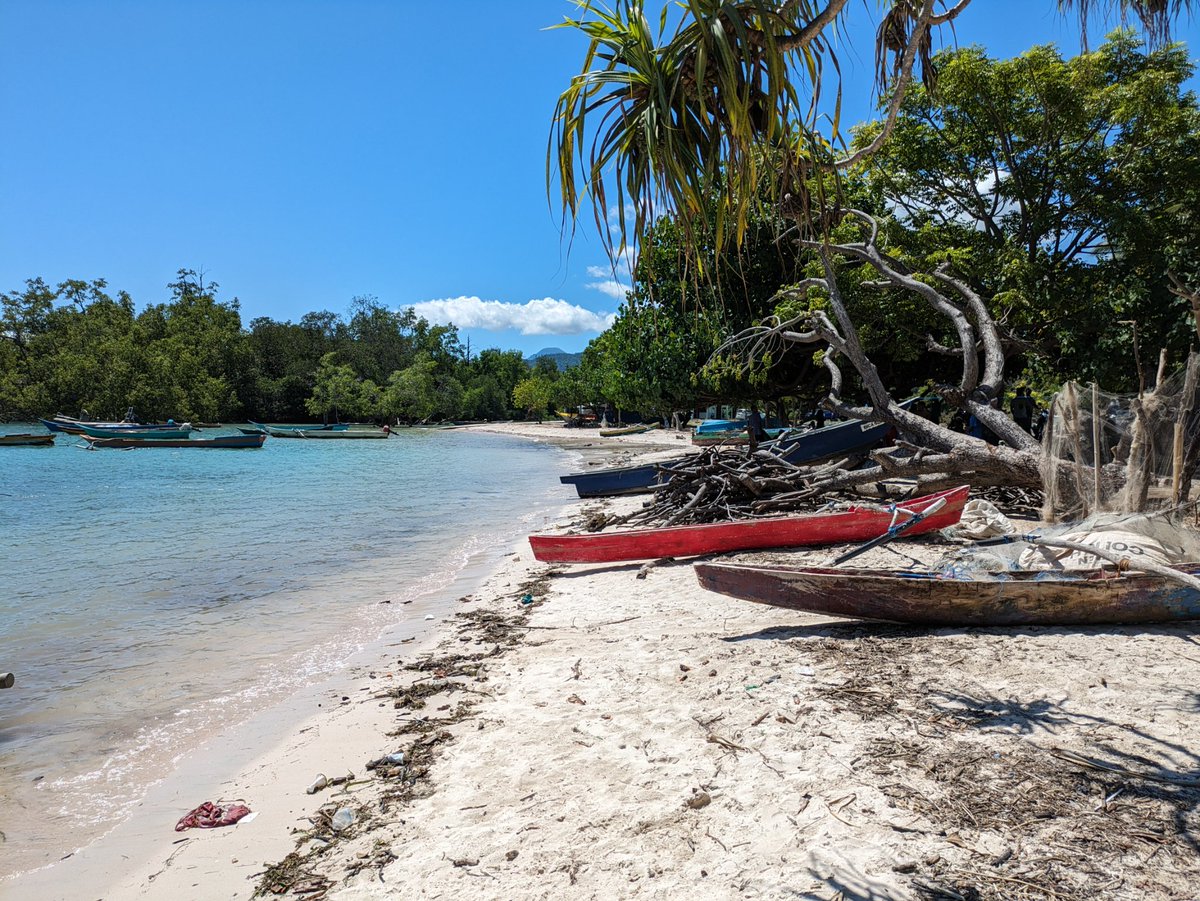 Kate Bevitt tweet media