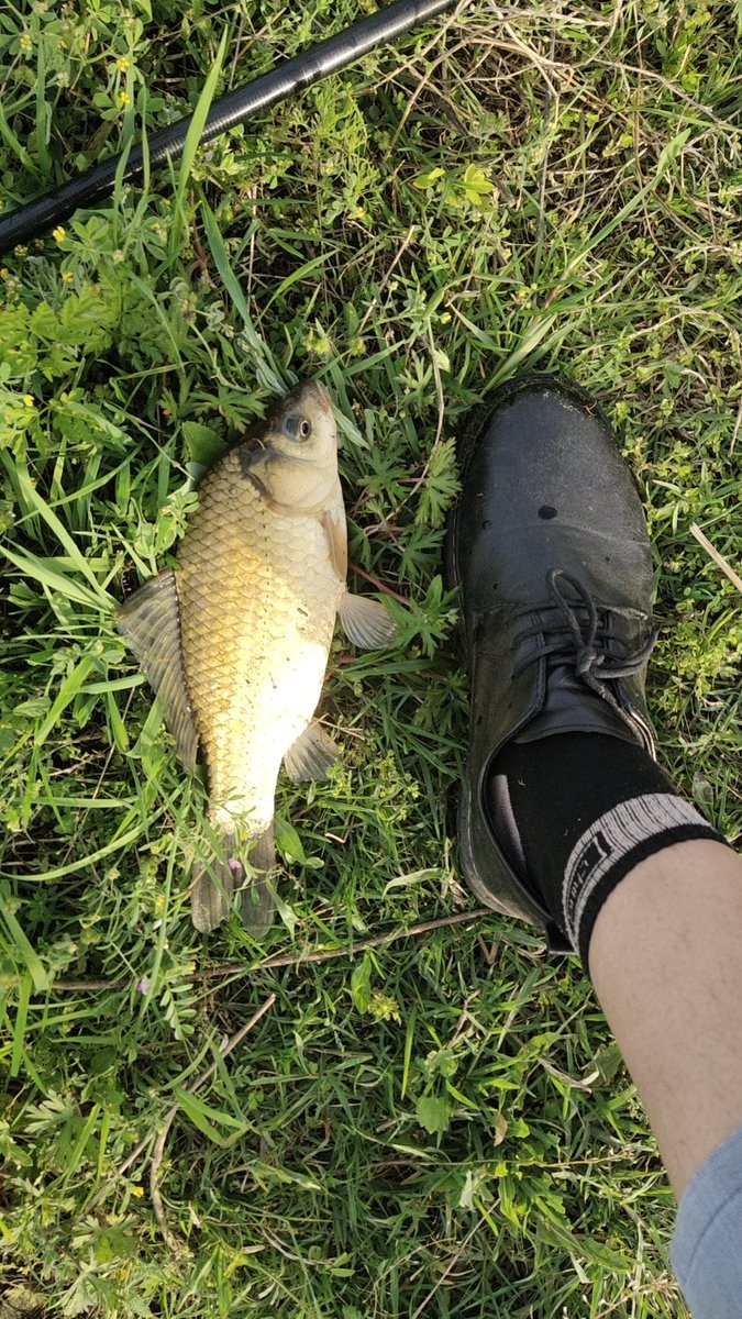 镇平哪里可以野钓？