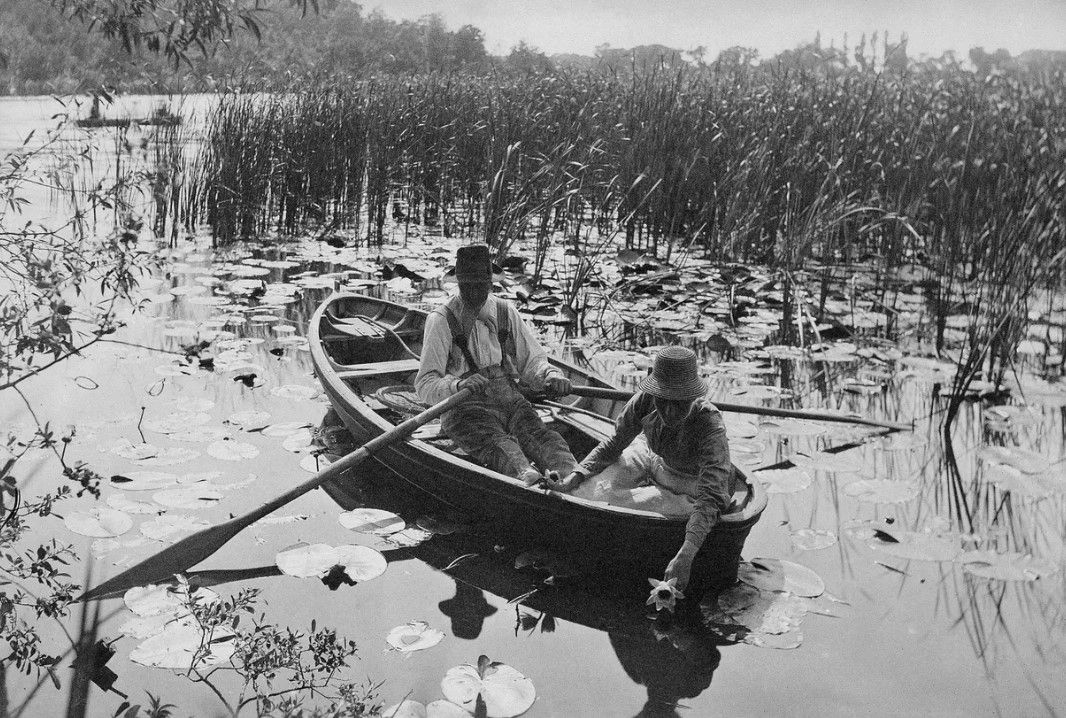 De meesterlijke zwart/wit-fotografie in de serie #Ripley op #Netflix doet me voortdurend denken aan oude foto's van mensen als #WillyRonis, of #PHEmerson (dit is 'Gathering Water Lilies' uit 1886).