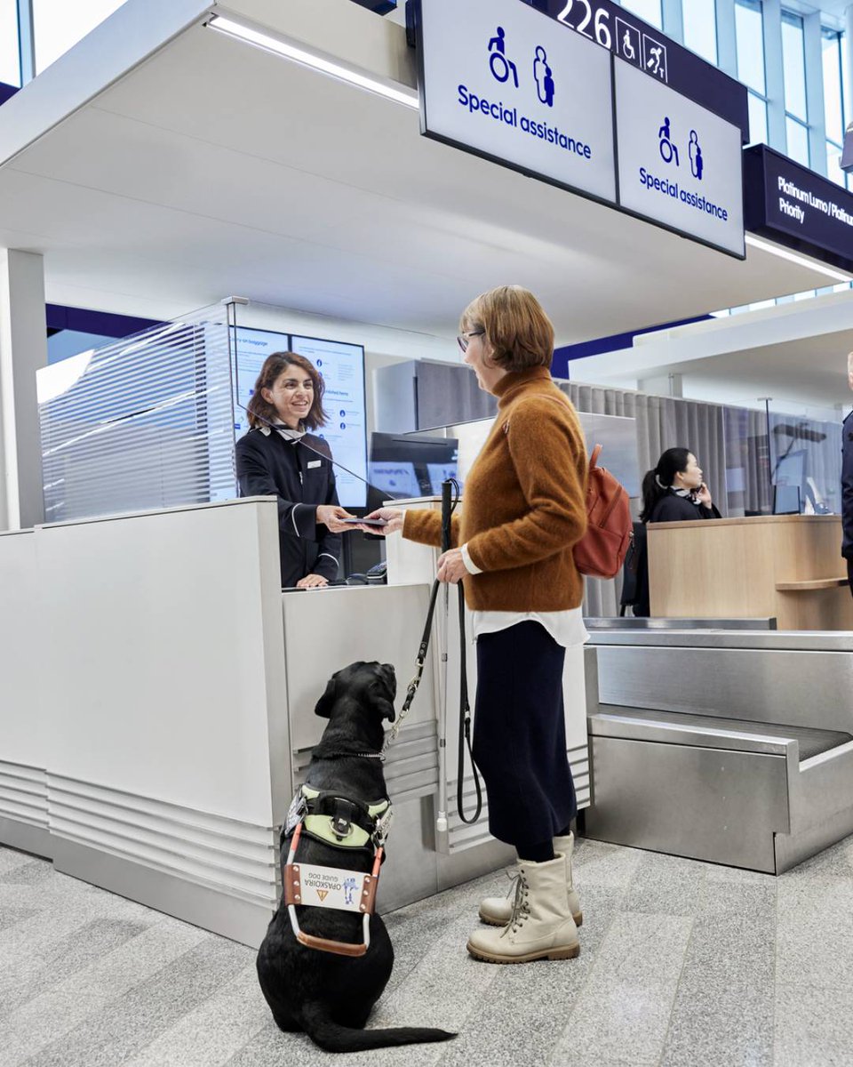 Are you thinking about bringing your furry friend along on your trip? Before you book your flights, there are a few things you should consider. To ensure your journey goes smoothly, we've gathered all the necessary information for you: finnair.com/en/pets-on-fin…