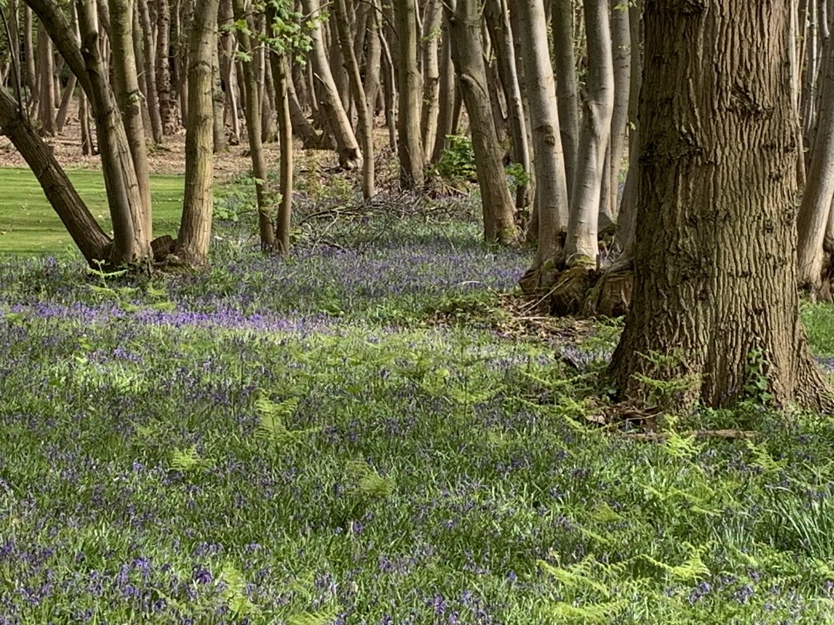 Paul Andrews (@familybizpaul) on Twitter photo Playing #FamilyBizRoadTrip catch up from yesterday and a final stop <a href="/kesgravehall/">milsoms kesgravehall</a> Family owned and beautiful spring welcome! <a href="/birkettsllp/">Birketts LLP</a> @hendygroup <a href="/WesternPensions/">Ben Fowler</a> Playing #FamilyBizRoadTrip catch up from yesterday and a final stop <a href="/kesgravehall/">milsoms kesgravehall</a> Family owned and beautiful spring welcome! <a href="/birkettsllp/">Birketts LLP</a> @hendygroup <a href="/WesternPensions/">Ben Fowler</a>