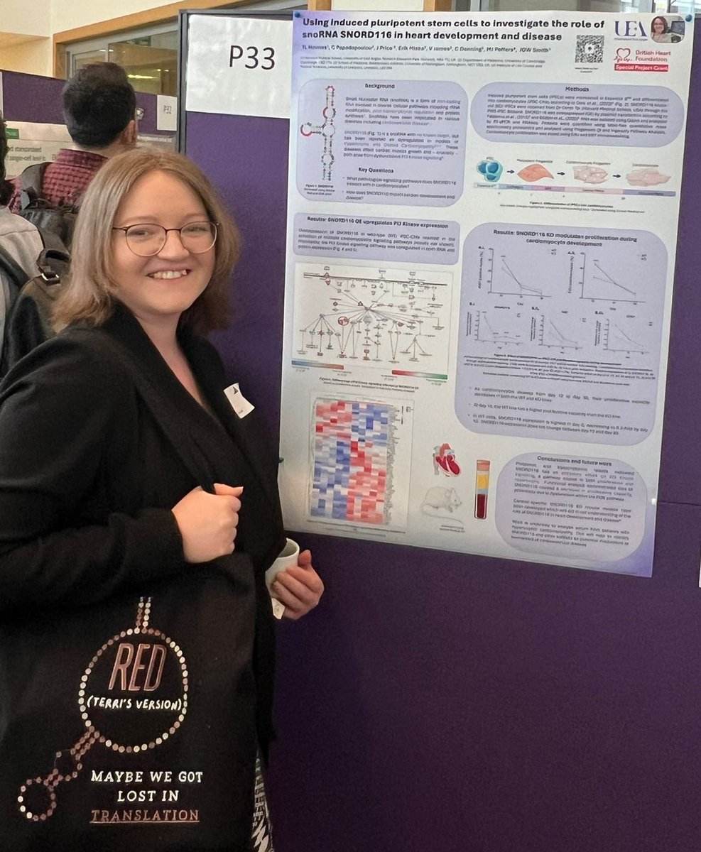 Had a lovely day <a href="/LSCN_UK/">London Stem Cell Network</a> presenting my poster "Using iPSCs to investigate SNORD116 in heart development and disease" at #LSCN2024. To any fellow Swifties, credit for the custom tote bag goes entirely to my friend Amelia (amelia.collins789 on Insta)