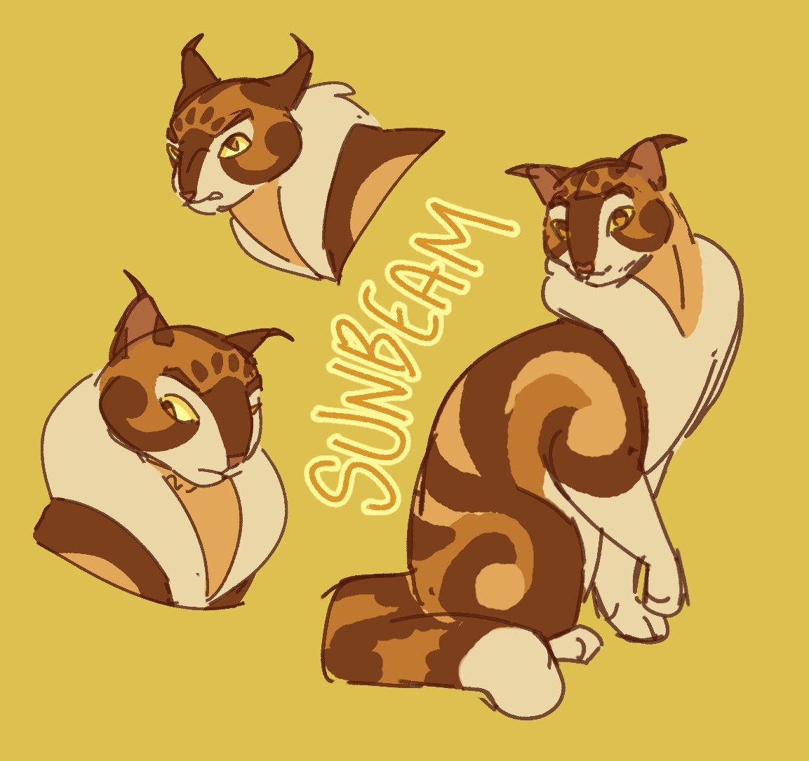 ☀️🌟 sunbeam concept design... i want to experiment with other ideas but this is one 

[#sunbeam #warriorcats]