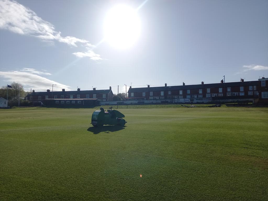 Ah, good morning yellow thing ☀️