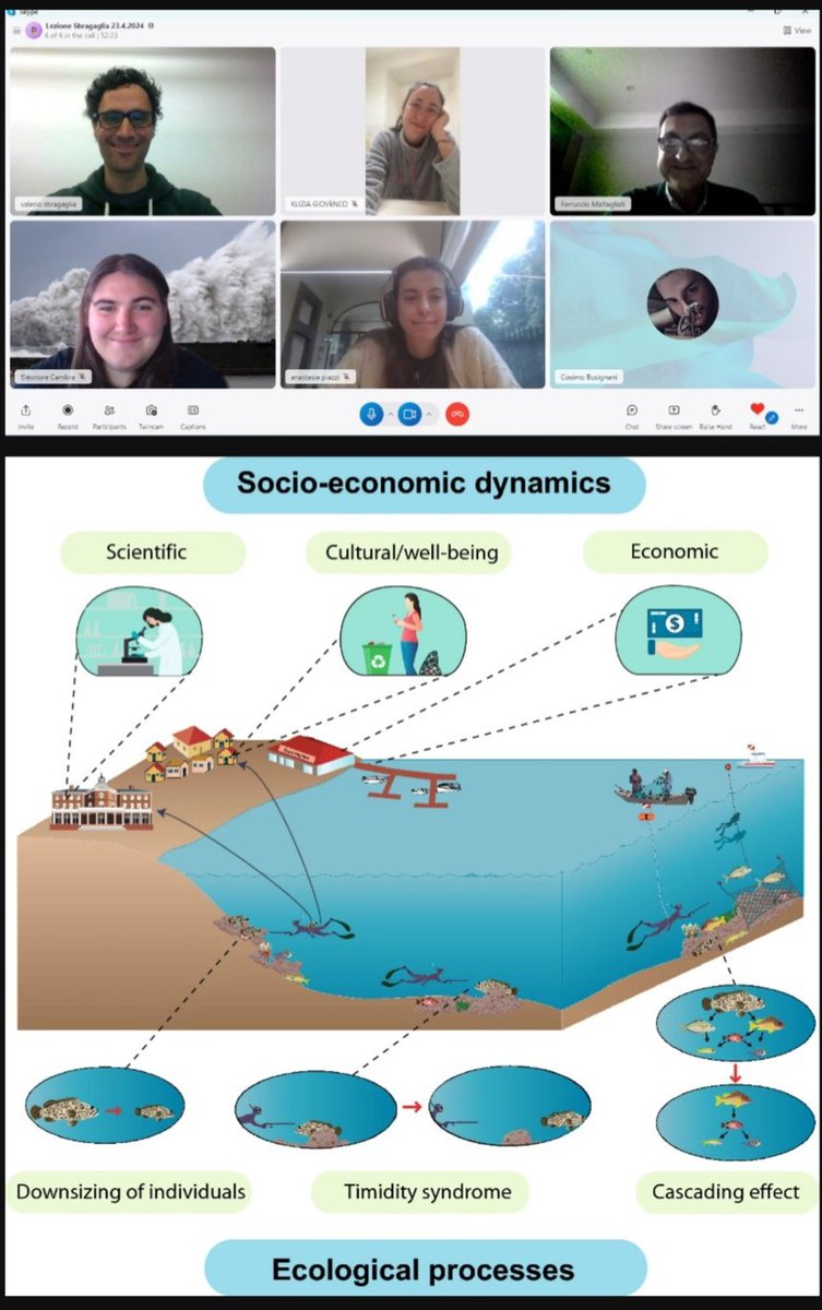 Yesterday I had the pleasure to share my integrative line of research on spearfishing to students and postdocs of @Unipisa. We discussed about animal behaviour and digital data from the internet. Hopefully some of them will visit at @ICMCSIC @iMARES_group