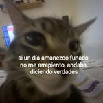 Photo by Butarco 👿🍾 (@Butarco2)