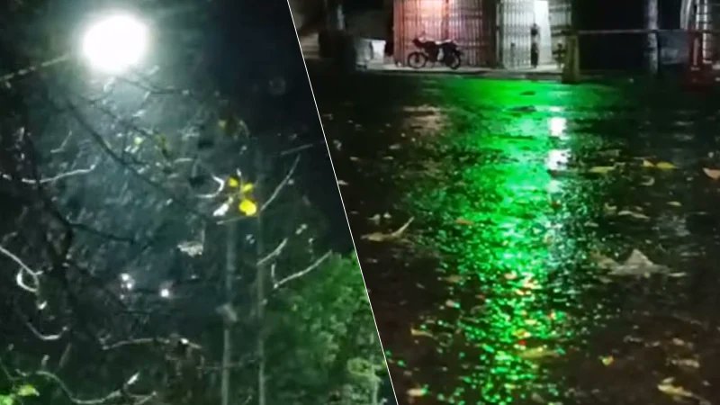 স্বস্তির বৃষ্টি নামলো তাপমাত্রার রেকর্ড ছোঁয়া জেলায়