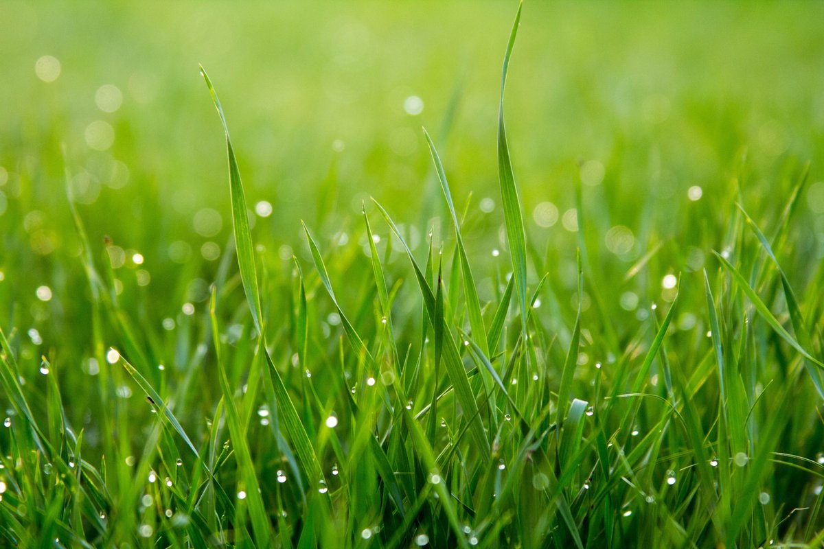 inn_pressme's tweet photo. The INN-PRESSME consortium is thrilled to announce the 6 projects selected through the 2nd round of #OpenCall! 🎉🌱♻️

Read more about the winners &amp; their products 
👉 https://t.co/1GOJt4T4Qg

#Biomaterials #Nanomaterials #Technologies  #PilotLines #Biobased #Sustainability https://t.co/NYZmsy26yi