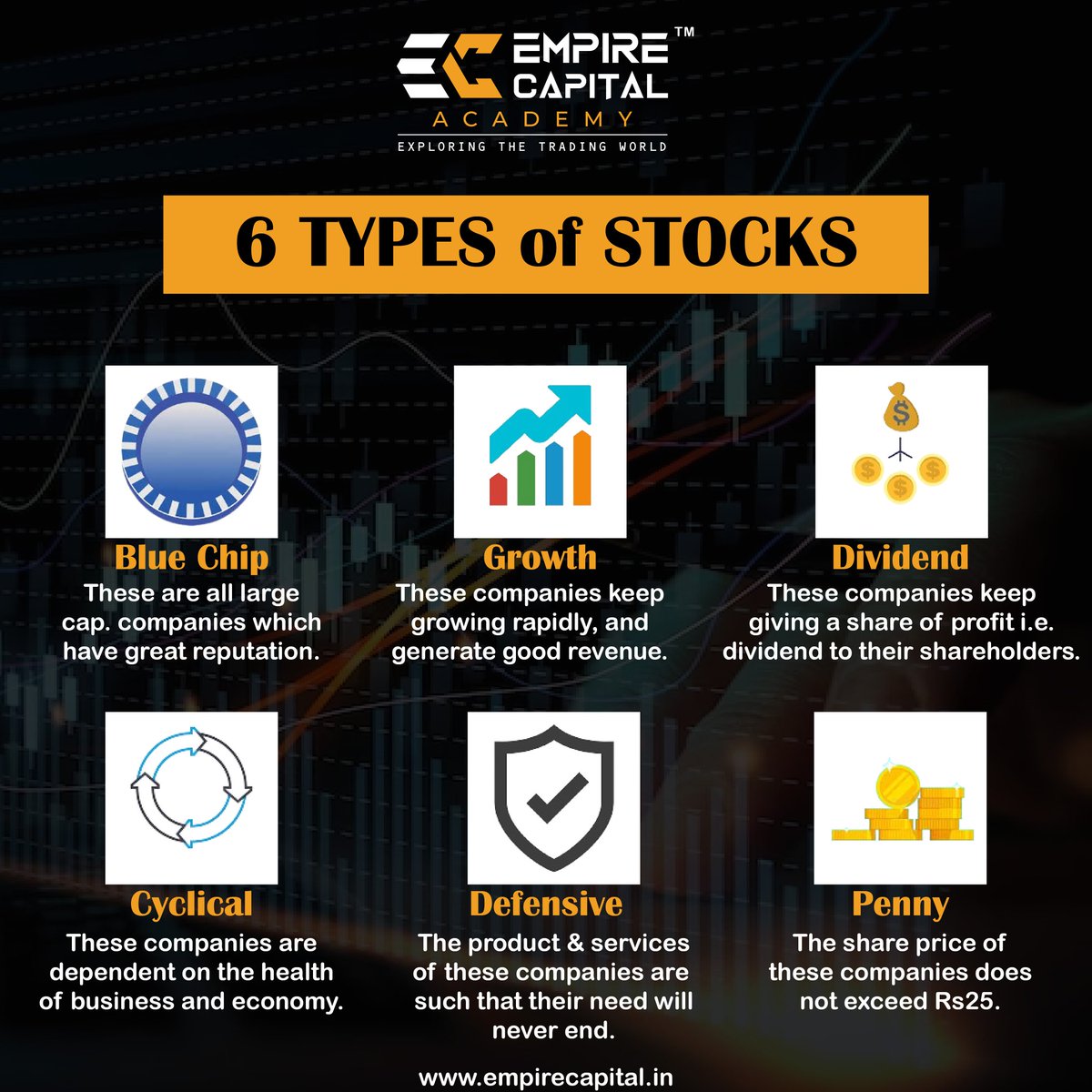 6 Types of Stocks 🎯✔️