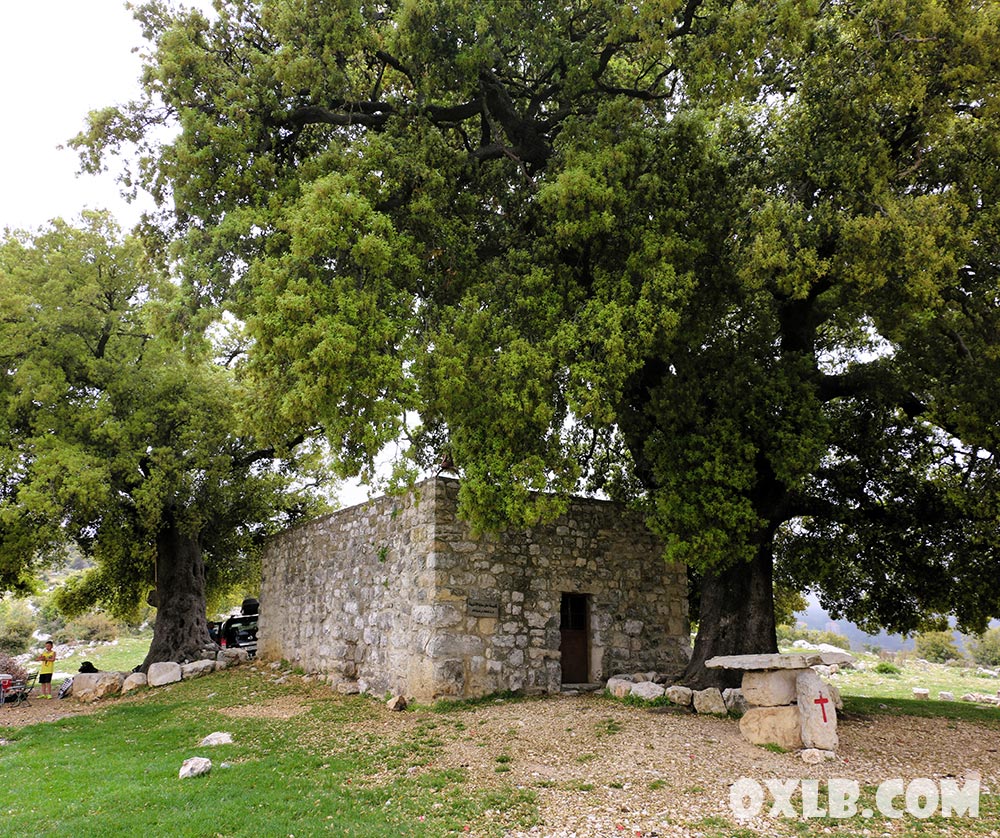 onefineart's tweet photo. The huge Oak Tree near the Mar Seba Church in Mayfouq Jbeil Byblos... https://t.co/hdWRmI3x87
#hugeoak #oak #oaktree #marseba #oldchurch #lebanon #lebanonchurch #lebanonart #lebanonpostcard #discoverlebanon #mayfouk #mayfouq https://t.co/TNmJi3MXrd