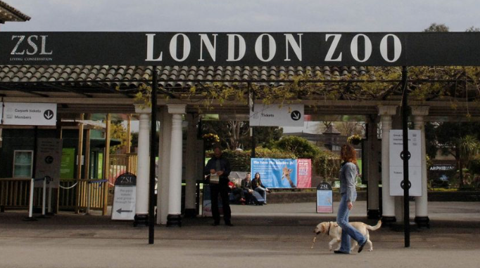 #OnThisDay in #TravelHistory in 1828 the Zoological Gardens opened in #RegentsPark , #London