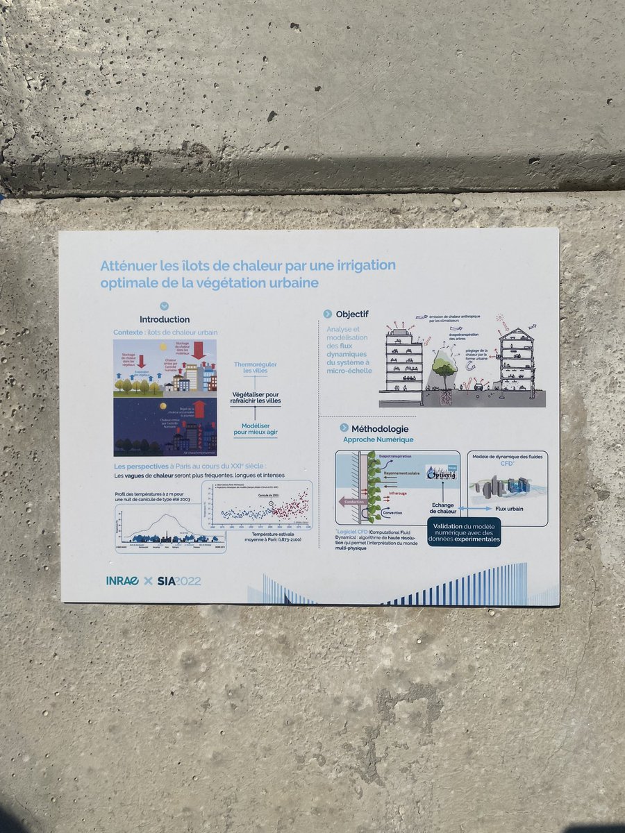 MAGO Prima Project tweet media