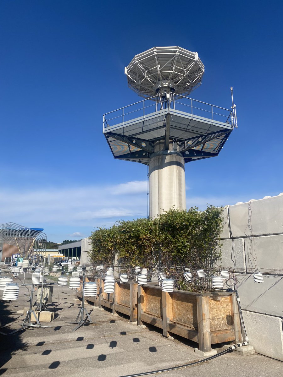 MAGO Prima Project tweet media