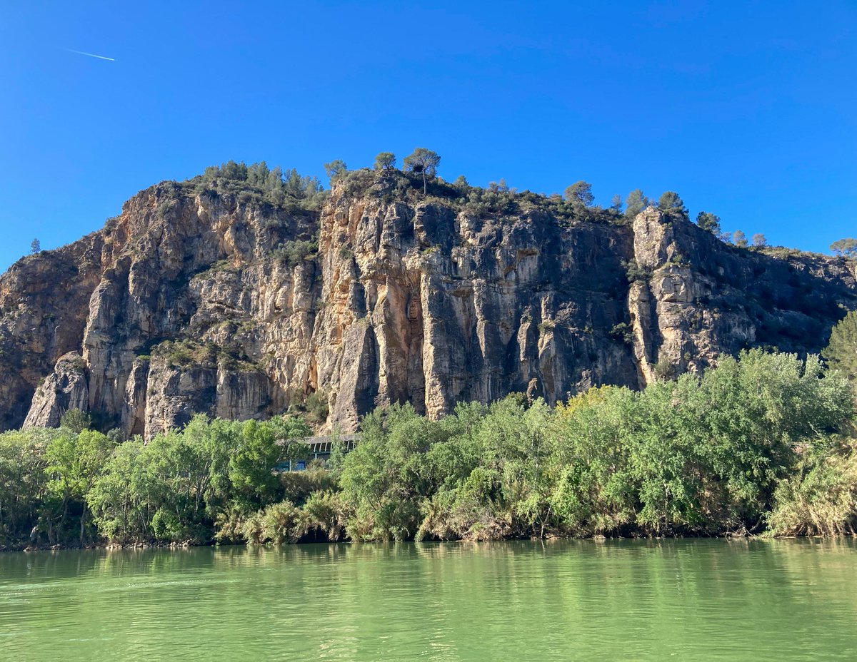 🌿📸 Us compartim un recull d'imatges de l'#activitat de dissabte passat a la llacuna d'Ascó. 🦅🌿 ⛵ Després de navegar per l'#Ebre a bord de Lo Roget, vam realitzar 3 tallers diferents amb els tècnics de @gnfreixe, que ens van permetre conèixer la biodiversitat de l'entorn. 💚