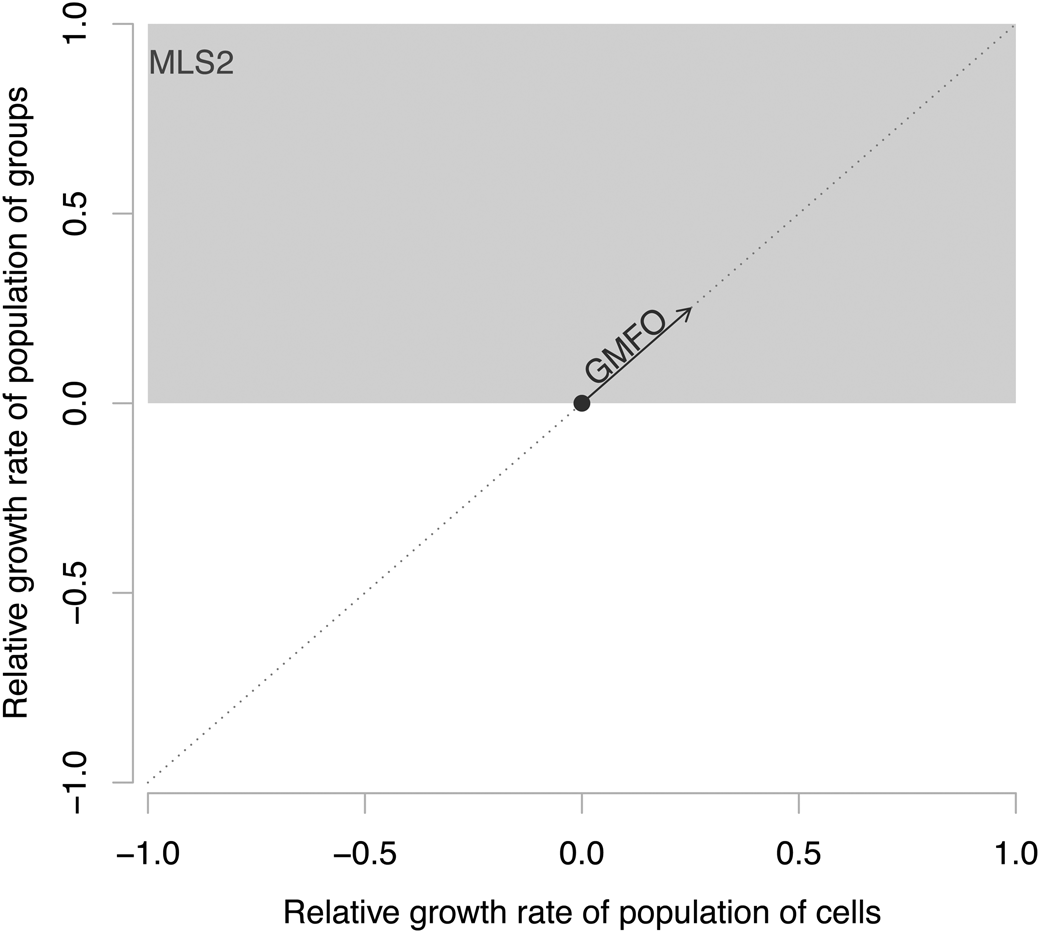 Andrej Spiridonov tweet media