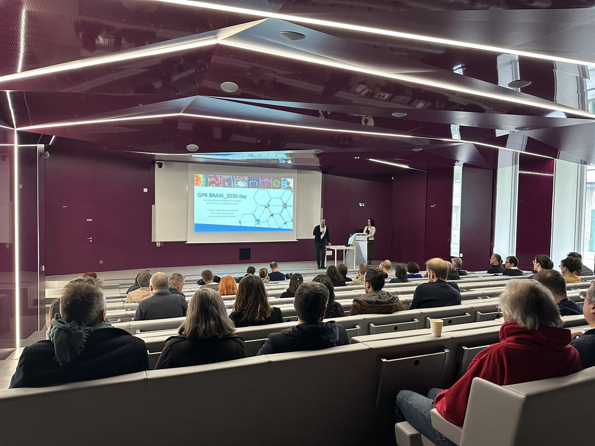 #Event 📢 Today is the 3rd #GPRBRAIN_2030 Day of @Neuro_Bordeaux 🧠 🗣️Matthieu Sainlos (@CH3W13), @SittewelleM (@MAPteam_neuro), @FlaviaVSimoes, Etienne Herzog (#MemTraS) and @daniel_choquet1 are among today's speakers! ➡️bordeaux-neurocampus.fr/event/gpr-brai…