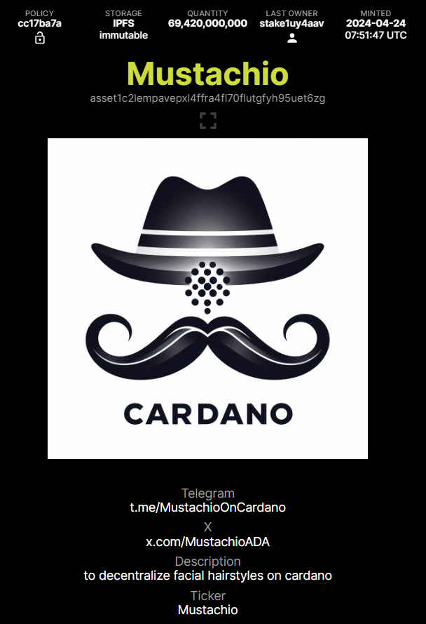 Mustachio has born! to decentralize facial hairstyles on cardano no pre-sale! just airdrop🔥 more details soon! like, retweet and tag 3 friends we wont forget our early supporters❤️
