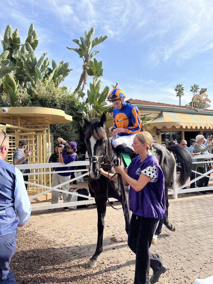 Breeder‘s CupやDubai World Cupでオーギュストロダンに会えたのは嬉しかったです😆オーギュストロダンを愛する🇮🇪競馬ファンとも交流しました