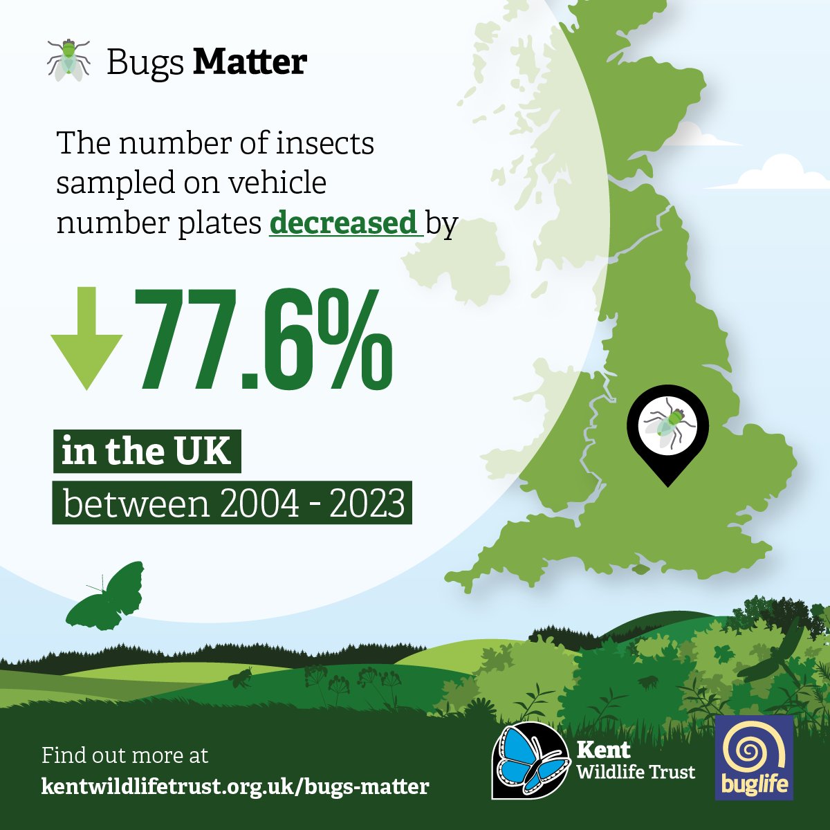 Our 2023 #BugsMatter survey results are out today, and  the news is alarming. The data indicates a 78% fall in the abundance of flying insects in the UK since 2004. 🧵