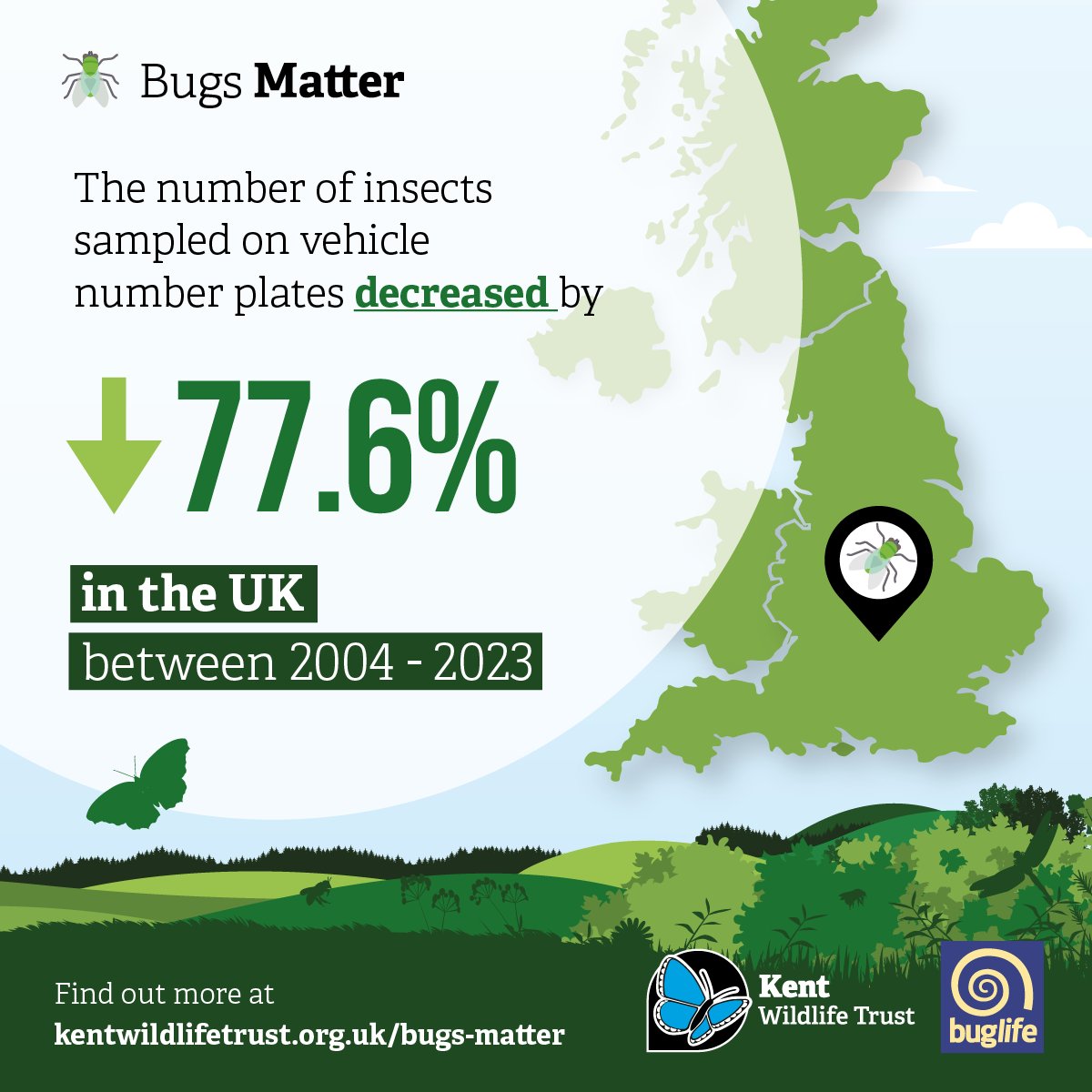 Our 2023 #BugsMatter survey results are out today, and the news is alarming. The data indicates a 78% fall in the abundance of flying insects in the UK since 2004. 🧵