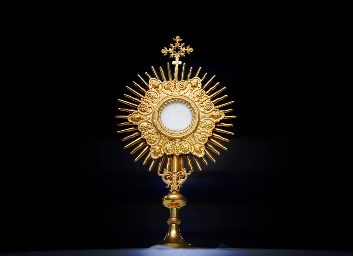 'The Eucharist is that love which surpasses all loves in Heaven and on earth.' - #SaintBernardofClairvaux

📷 Adoration / © Sidney de Almeida via #CanvaPro. #Catholic_Priest #CatholicPriestMedia #Eastertide