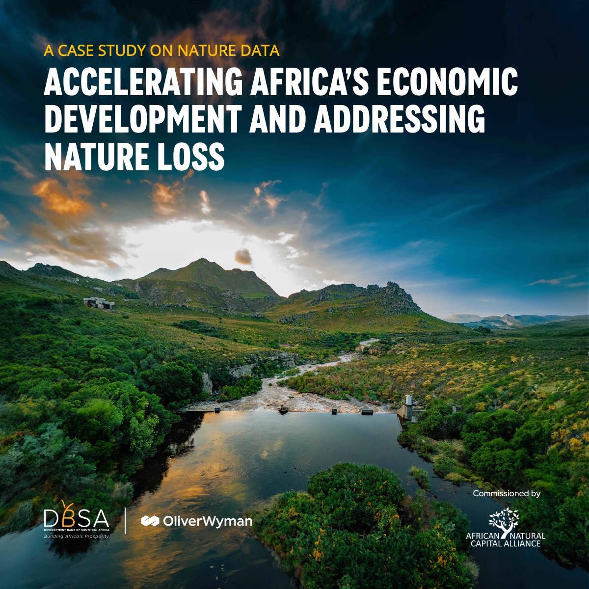Our report with @DBSA_Bank – a member of @TNFD_ – and commissioned by @ANCAlliance, strives to empower financial institutions with the knowledge to accurately assess #nature and #biodiversity risks, towards nature-positive investment in #Africa > owy.mn/3JxUYqS