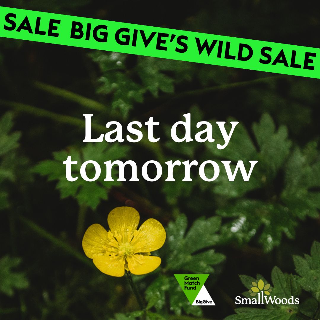 Tomorrow is the last day of the @BigGive Green Match Fund!

To donate, and to double your impact, go to: donate.biggive.org/campaign/a0569…

#GreenMatchFund #2for1nature