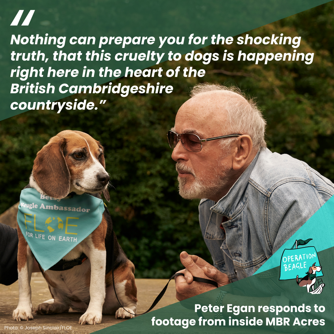 Narrating the film ‘Inside MBR’ was heartbreaking. On #WorldDayForAnimalsInLaboratories, please RT for @GOVUK to stop ignoring medical evidence; mandate the #EDM25 science hearing and halt the lies about human medicine, which fund this appalling cruelty. #EndAnimalTesting #Dogs…