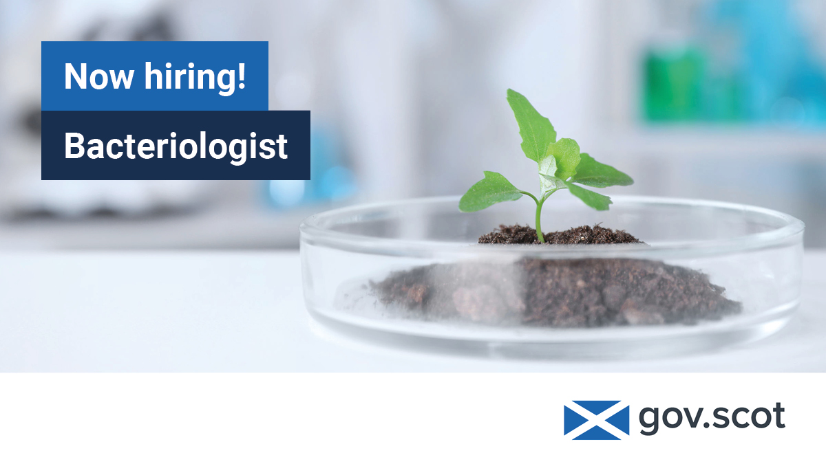 Do you have experience providing laboratory support? @ScotGovSASA are recruiting a Bacteriologist in #Edinburgh to perform testing of potatoes and plants for bacterial diseases. Learn more: ow.ly/q8j950Rc4GH #CivilServiceJobs #ScienceJobs #LabJobs