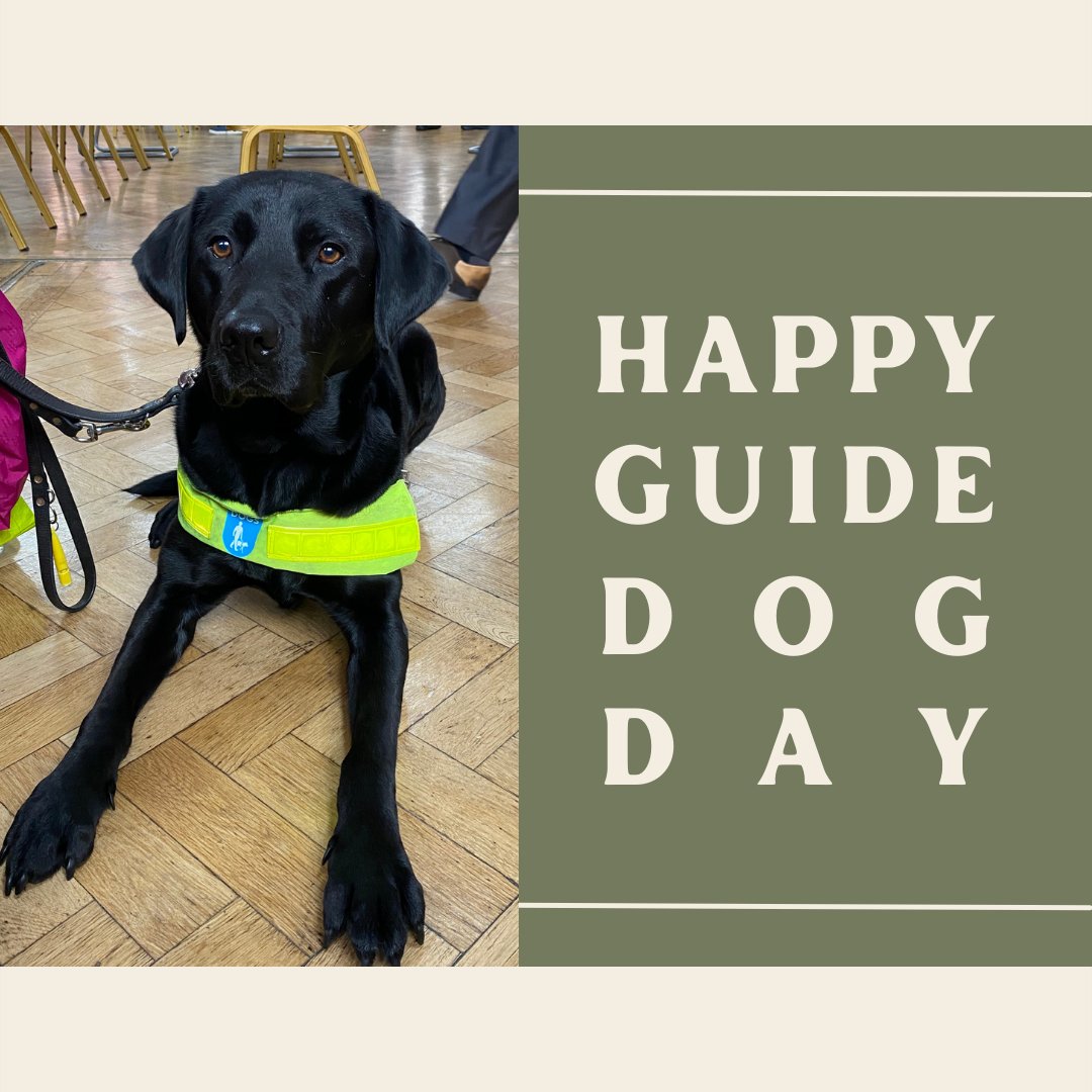 Happy #InternationalGuideDogDay 🦮😎

#guidedogs #guidedog #guidedogsday