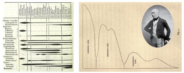 April 24, 1874, died #OTD, British geologist John Phillips. In 1841 he published the first global geologic time scale as the  fossil record showed at least 3 distinct eras in #Earth's history🐚🦖 🐒
 strangescience.net/phillips.htm