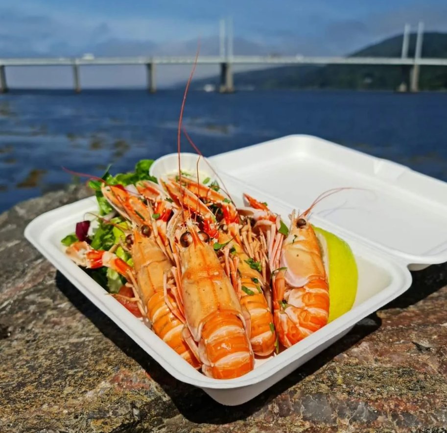 Dive into our latest blog and discover the top 10 seafood spots along the #NC500!🍽️ From shellfish to seafood platters, explore the flavours of Scotland's coastal cuisine.🦞🌊 Read Now: 🔗ow.ly/HbHL50Rmn3b 📸1&2 -Kylesku Hotel 📸3- Applecross Smokehouse 📸4 -The Redshank