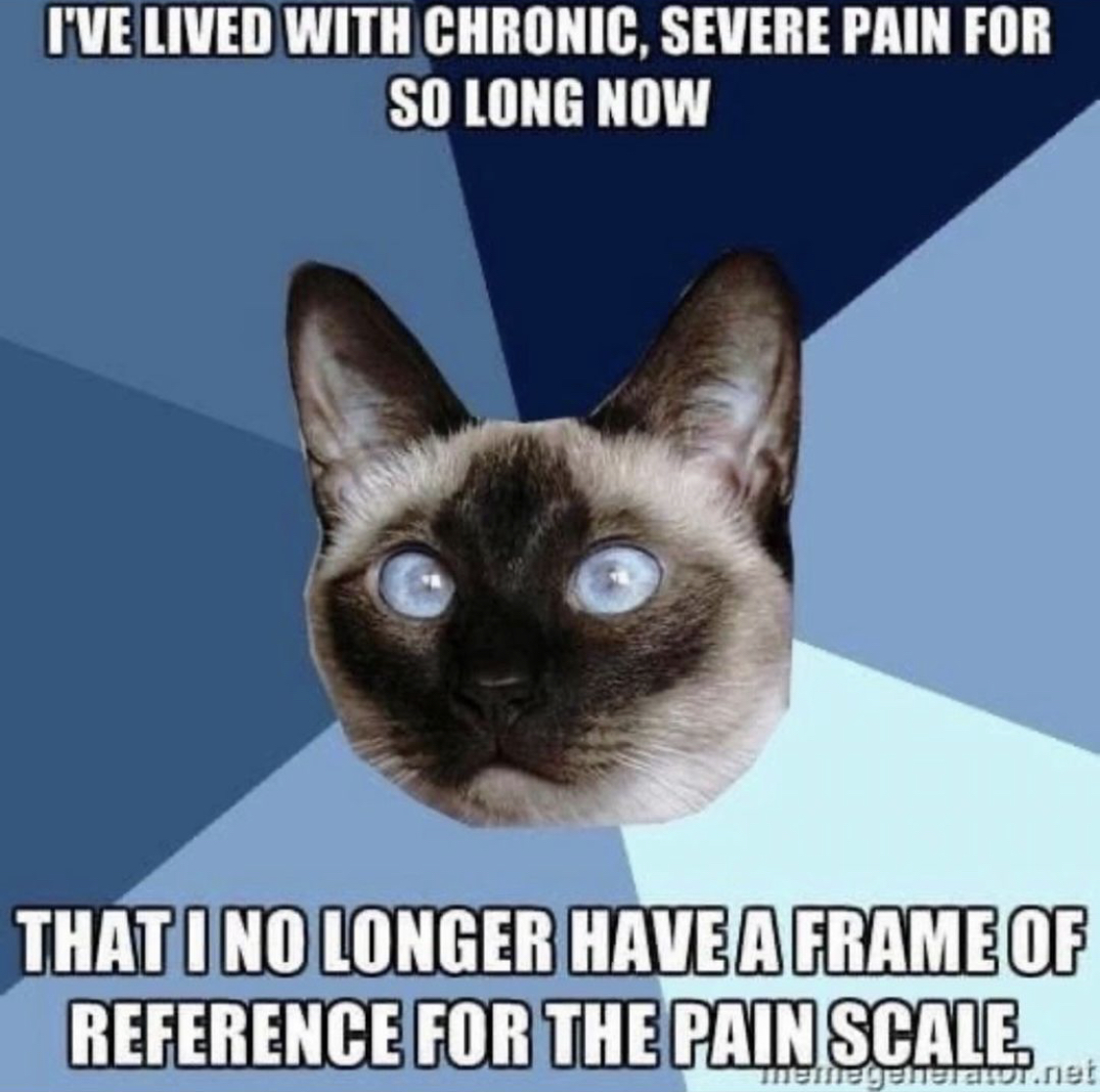 I find myself trying to negotiate with my body saying 'I know there has to be some pain, but could it be a bit less than this?' 

#chronicpain #autominnunedisease #invisibleillness  #LupusSucks #chronicillness #LupusLife #lupuswarrior #lupus #lupustrust #lupusawareness