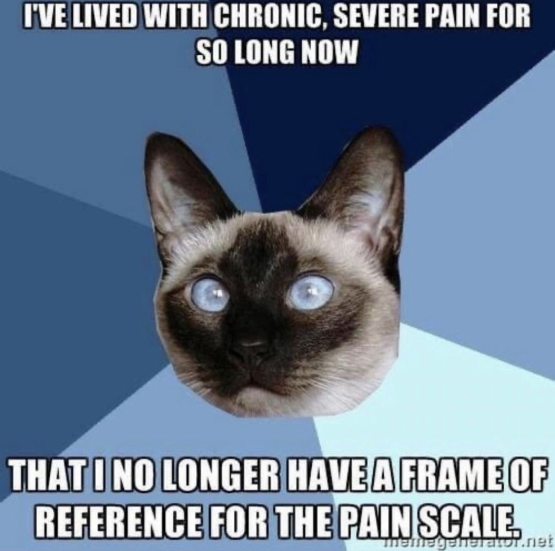 I find myself trying to negotiate with my body saying 'I know there has to be some pain, but could it be a bit less than this?' #chronicpain #autominnunedisease #invisibleillness #LupusSucks #chronicillness #LupusLife #lupuswarrior #lupus #lupustrust #lupusawareness