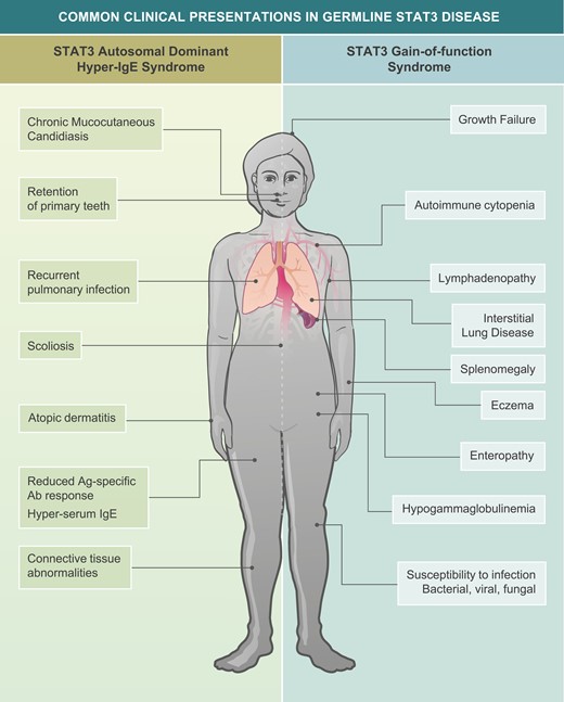 #STAT3 variants can be loss or gain of function, causing very different diseases This review from @JoeMackie6 et al. @Tangye_Lab explores how studying #IEI has informed our knowledge of this #proinflammatory transcription factor 👉bit.ly/442dnoL #WorldPIWeek