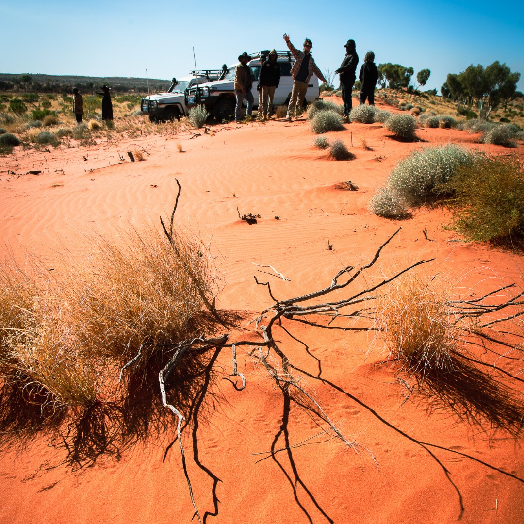 The IDA is looking for an ecologist! For more information, and how to apply, head here: nrmjobs.com.au/jobs/2024/2002…