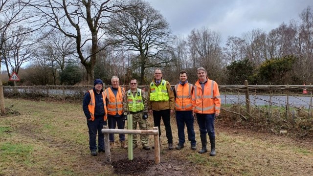 #TeamLandmarc & @dio_mod have worked together to replace a damaged Canadian maple at Bramshott Common in Hampshire, which was originally planted as part of a commemorative avenue to remember fallen Canadian soldiers during WW1 & WW2. #Remembrance #TreePlanting