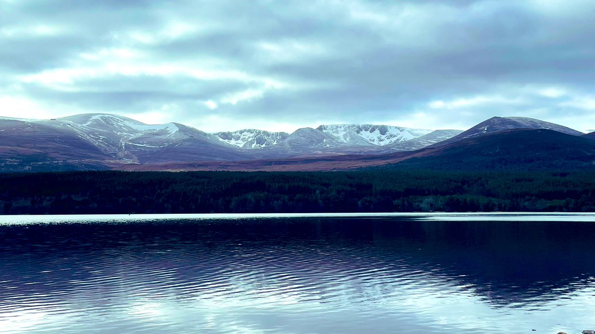 Lovely morning with a dusting of fresh snow in the #Cairngorms #NationalPark.