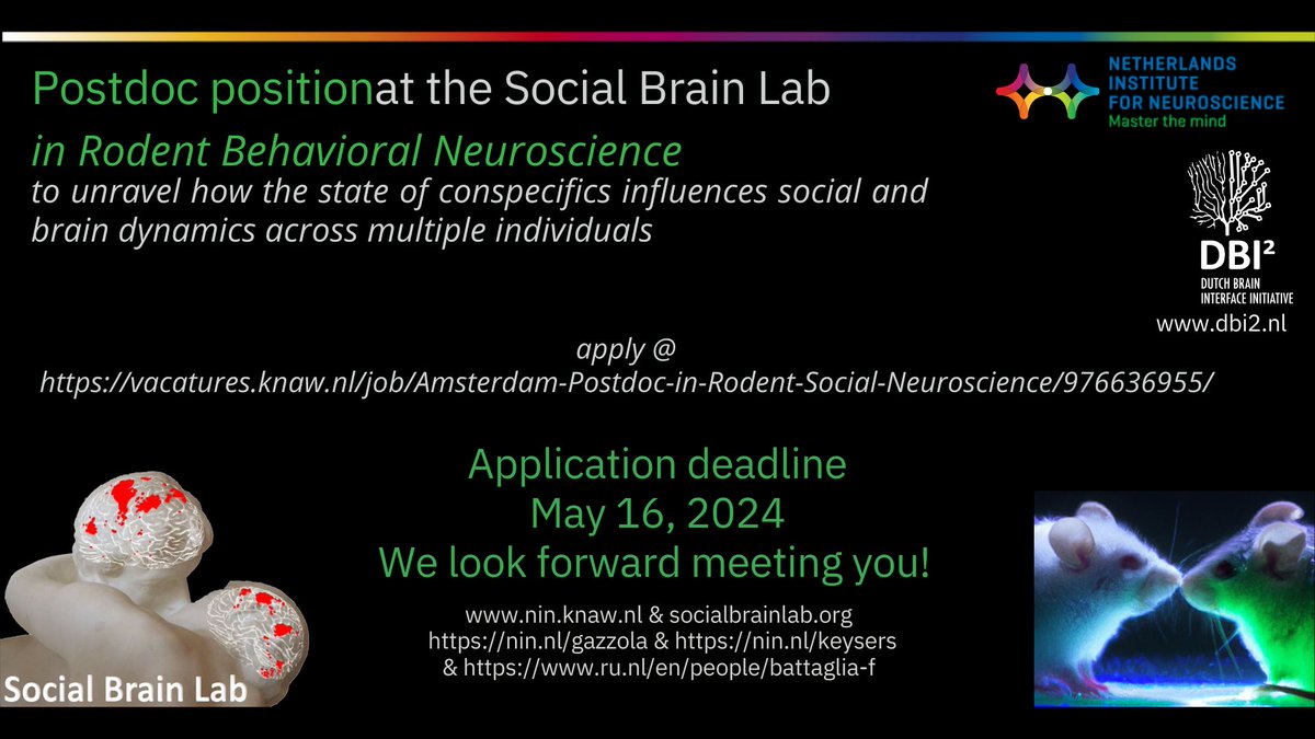 We're hiring a Postdoc at the Social Brain Lab 🧠 Read more about the vacancy on our website: nin.nl/vacancies/post…