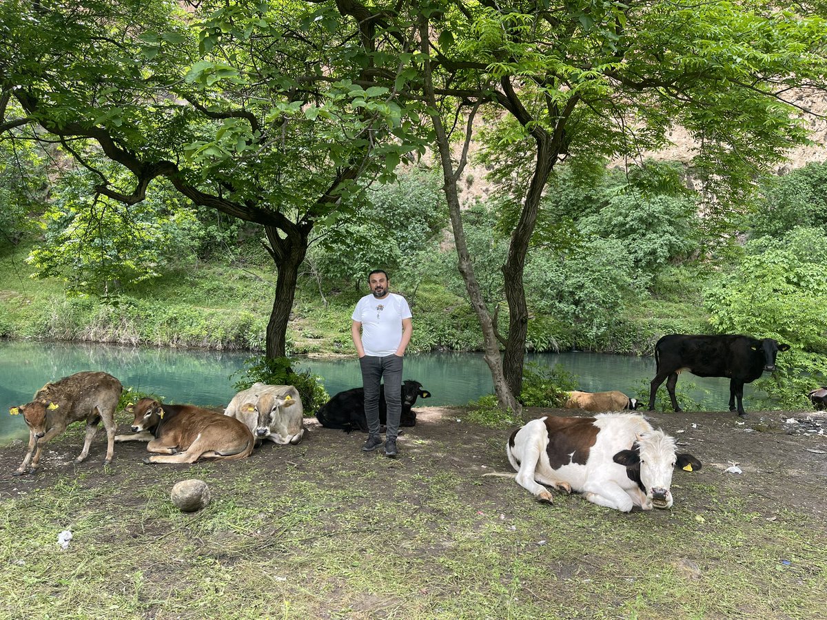 ersoy_laleoglu's tweet photo. Nawale Qoriye Hespist https://t.co/YzTAqspuyZ