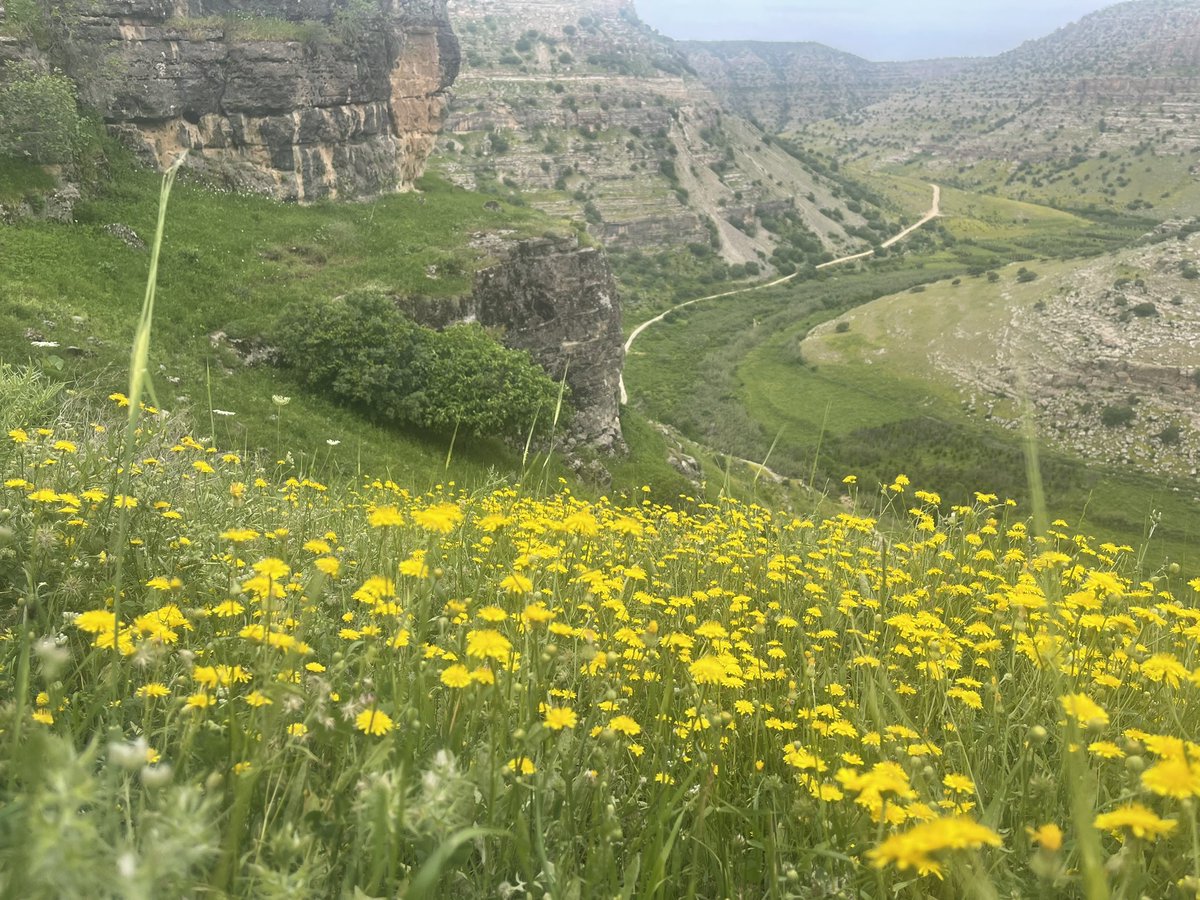 ersoy_laleoglu's tweet photo. Nawale Qoriye Hespist https://t.co/YzTAqspuyZ