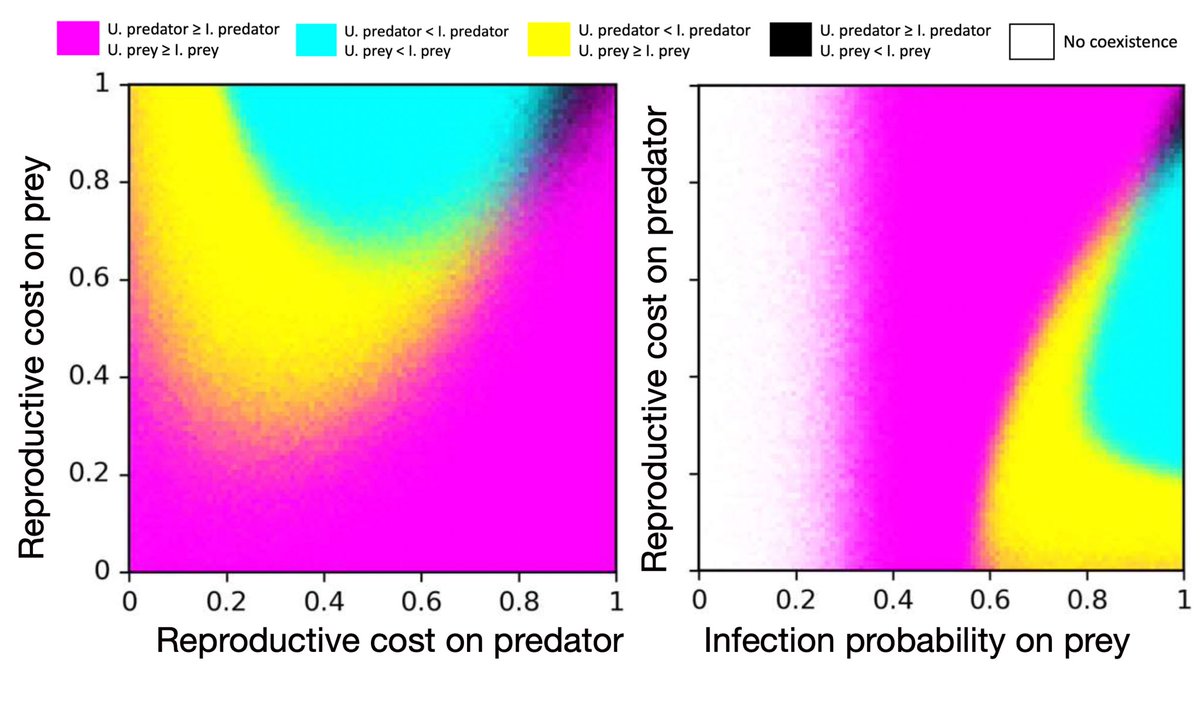 Our paper is out. royalsocietypublishing.org/doi/10.1098/rs…  The interplay of direct and indirect parasite effects can lead to opposite orders of numbers of infected and uninfected prey and predators. Excited for our following-up study moving beyond ecology to coevolution. Link 👇