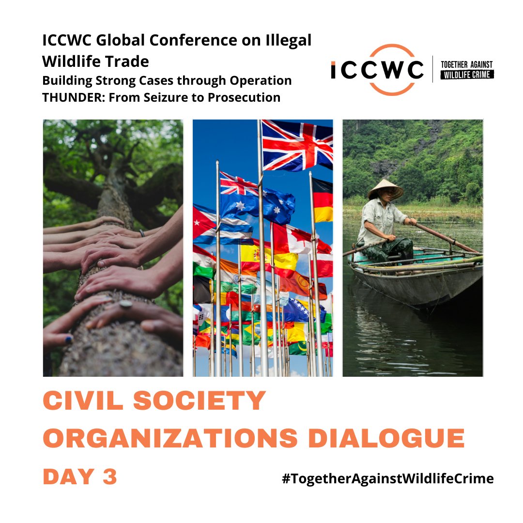 Day 3 of the #ICCWC Global Conference on IWT is focused on international collaboration with: 

🤝Public-private partnerships
🤝Governments
🤝Local communities
🤝Civil society organizations

#TogetherAgainstWildlifeCrime #FromSeizureToProsecution