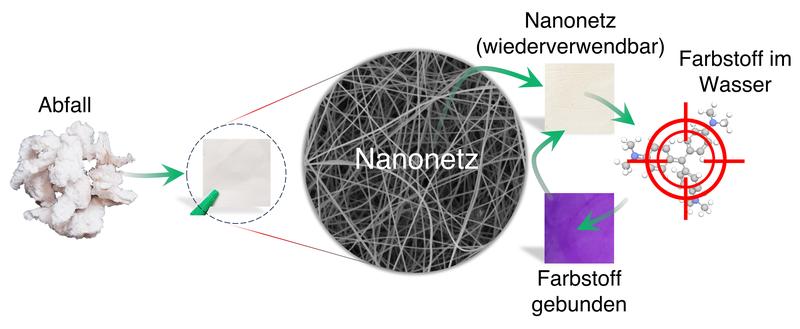 Nanofasern-befreien Wasser von gefährlichen Farbstoffen Farbstoffe, wie sie zum Beispiel in der Textilindustrie verwendet werden, sind ein großes Umweltproblem. An der TU Wien entwickelte man nun effiziente Filter dafür – mit Hilfe von Zellulose... nachrichten.idw-online.de/2024/04/24/nan…