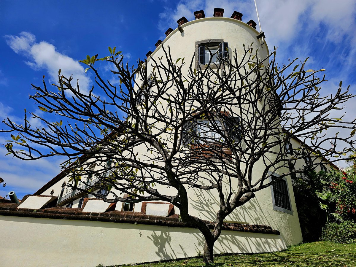 #WallsOnWednesday
#WindowsOnWednesday
From a trip to #Funchal