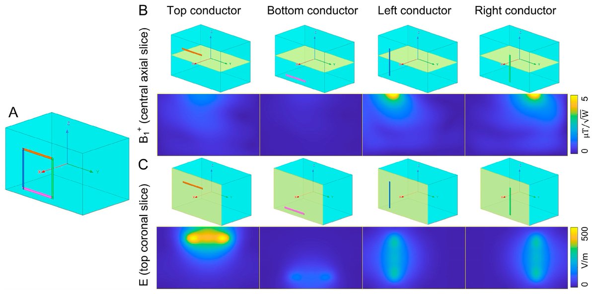 Improving Specific Absorption Rate Efficiency and Coil Robustness of Self-Decoupled Transmit/Receive Coils by Elevating Feed and Mode Conductors mdpi.com/1424-8220/23/4… #SelfDecoupled #SAR #RFCoil #Array #Decoupling #HighField