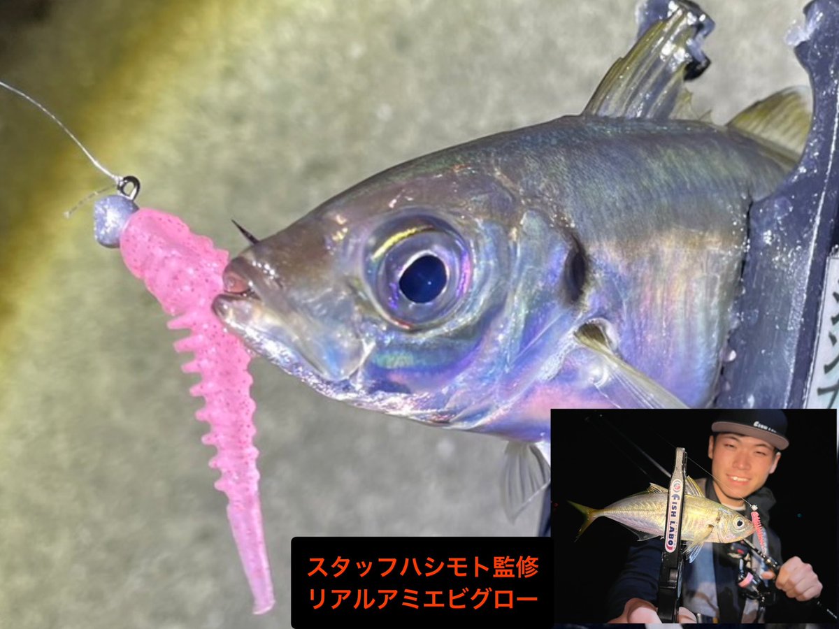 FISHLABO_STAFF's tweet photo. なんと‼️‼️
#Riverch のWEBストア限定販売カラーが登場します🔥
第1弾は、FISHLABOスタッフナガサワ、ハシモト監修の2色。
ワームサイズも監修スタッフが選んだ3種類です。
発売は明日お昼12時~とします!
⭐️その際人気アイテムの #RiverchNEO #Retia 48 も再入荷予定です! https://t.co/FpxPbi0PrH