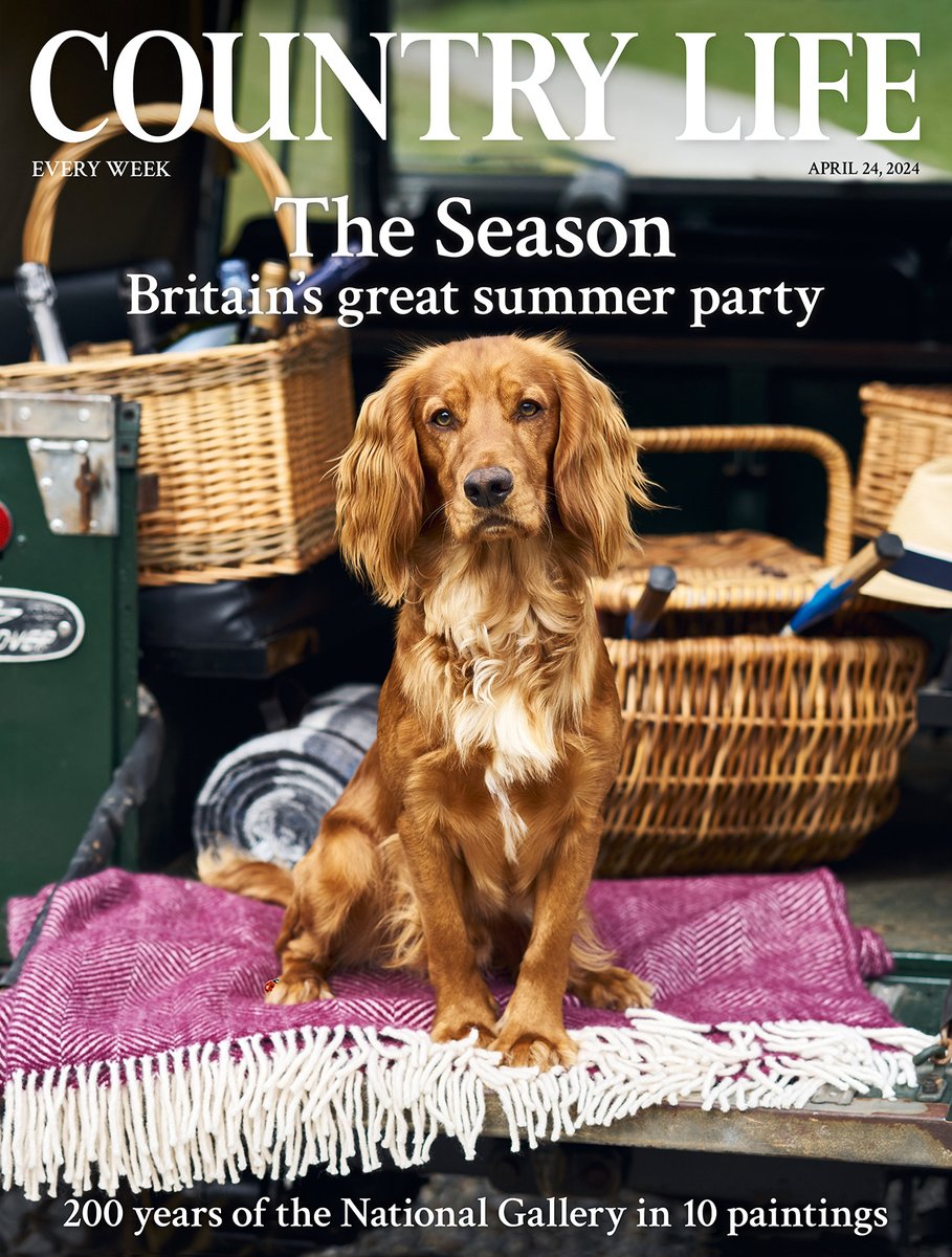 Cocker spaniel, bottles of bubbly, a picnic hamper and a Panama hat, all in the back of a Land Rover Defender. If there was a bingo card for the Summer Season — as featured in our special issue this week — you could do worse than start here. - - - 📷 by @chrisallertonphoto