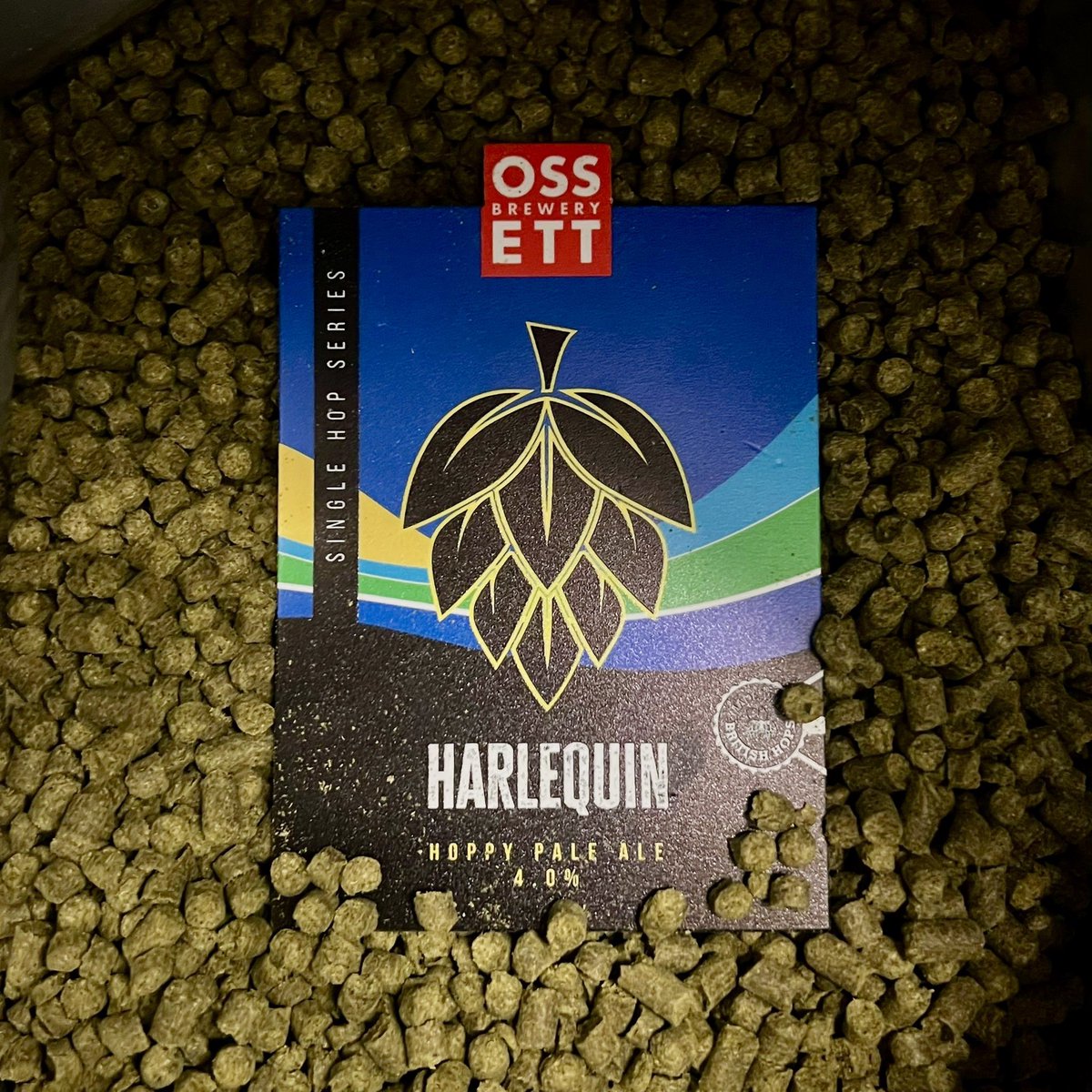 🔺 NEW BEER 🔺 Single Hop Series ⤵️ Harlequin®️ is a new British hop from the Charles Faram Hop Development Programme. It has intense tropical fruit character, more usually associated with American varieties 🍻 Order for your pub ⤵️ 📞 01924 261333 📧 sales@ossett-brewery.co.uk