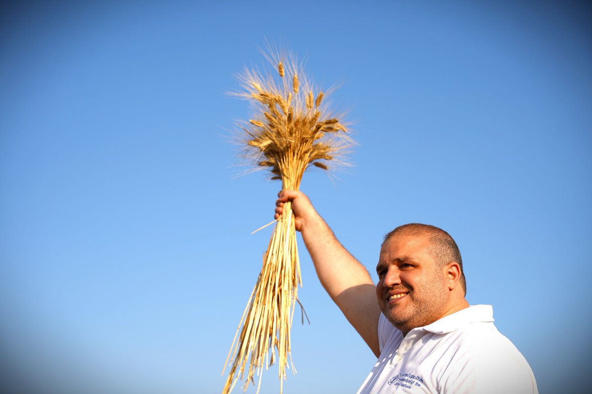 .@FAO #Syria sadly mourns the death of one of its family members, Maher Al-Abrash, agriculture-based livelihoods specialist. We pray to God for mercy and forgiveness for Maher, and our deepest condolences to his mother and family. The whole team will miss you, Maher.